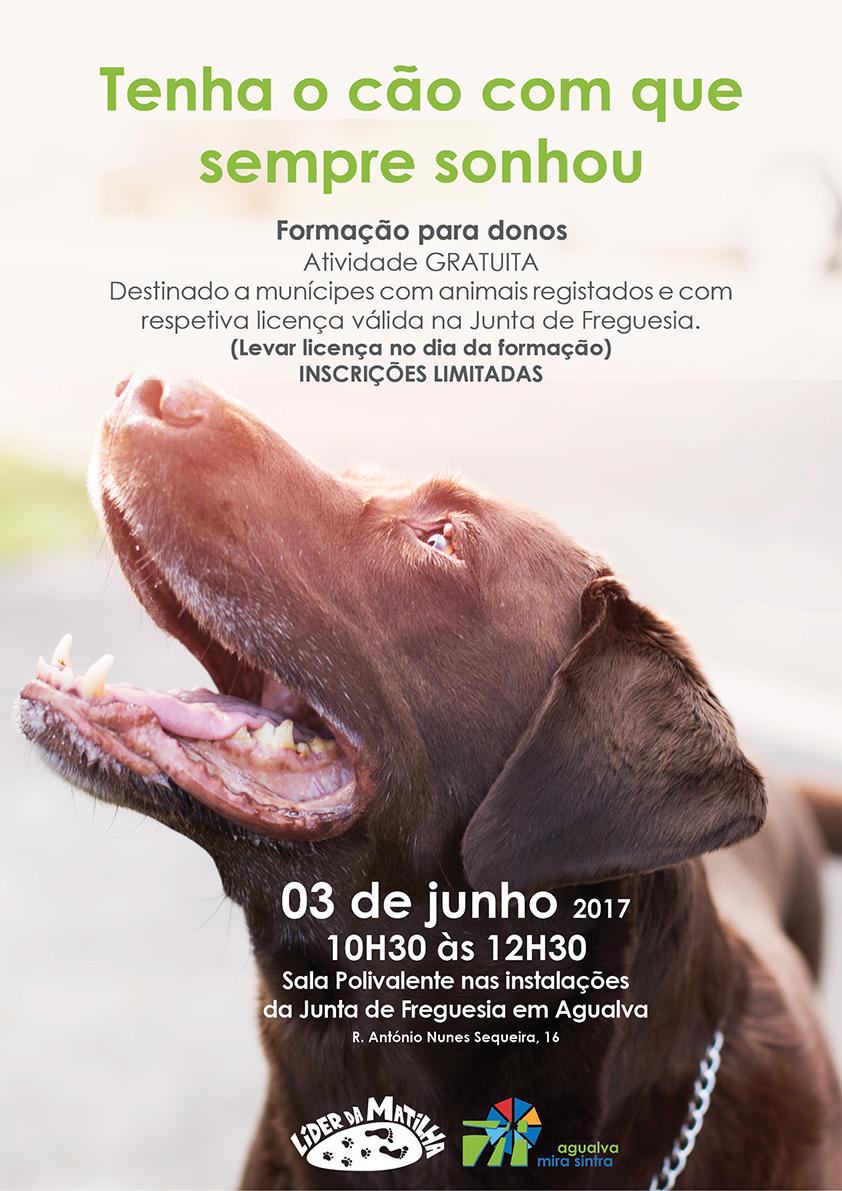 Workshop - Tenha o cão que sempre sonhou