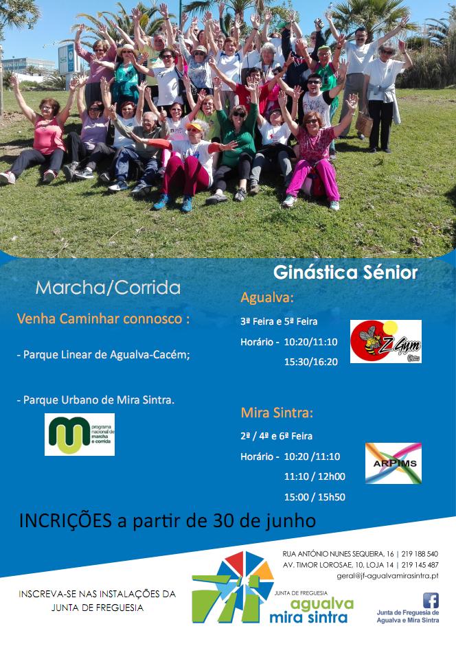 Ginástica Sénior 2017-2018