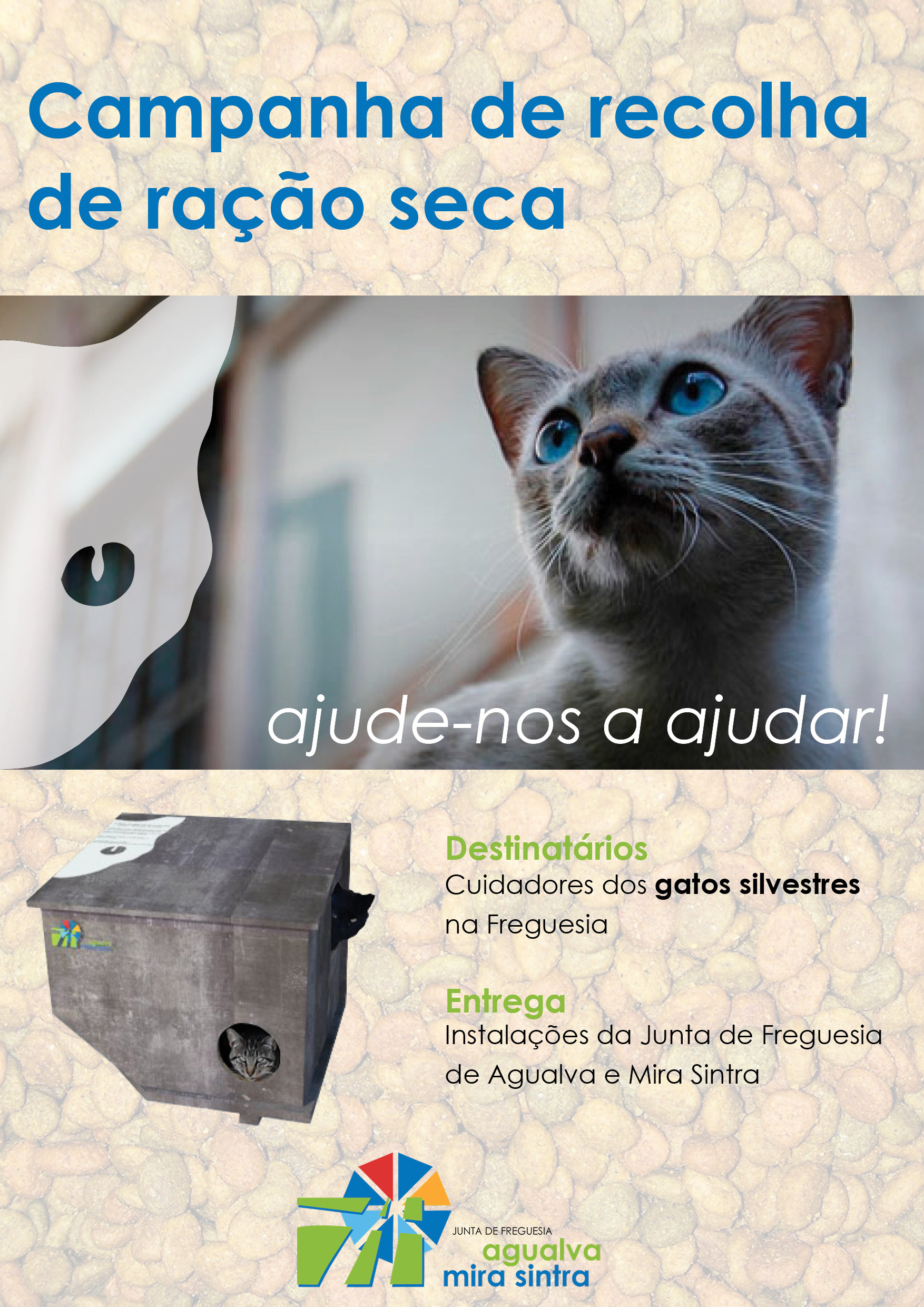 Recolha de ração para gatos