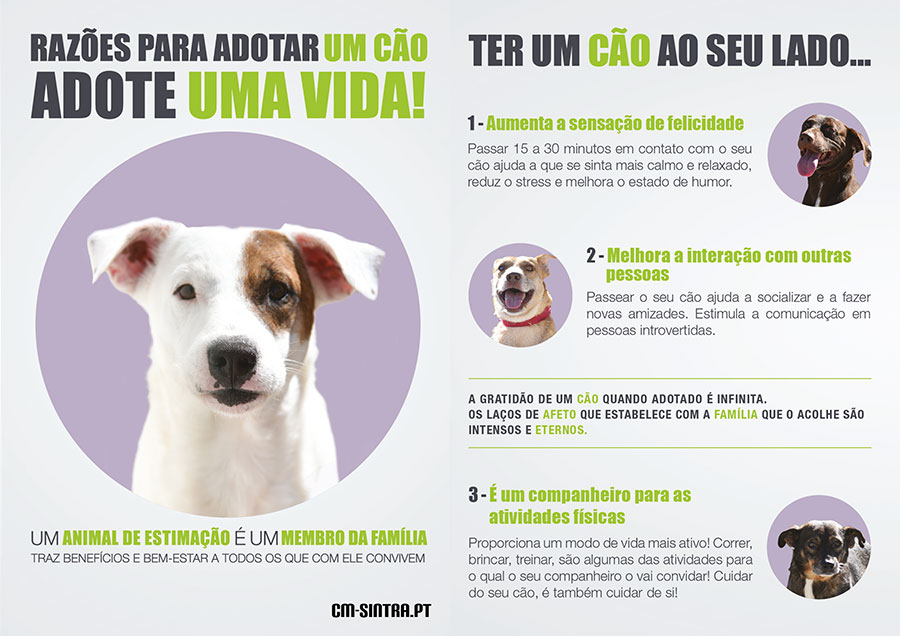 Adote uma vida | intra - Sítio dos animais