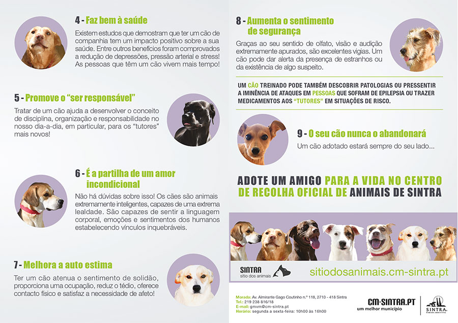Adote uma vida | intra - Sítio dos animais