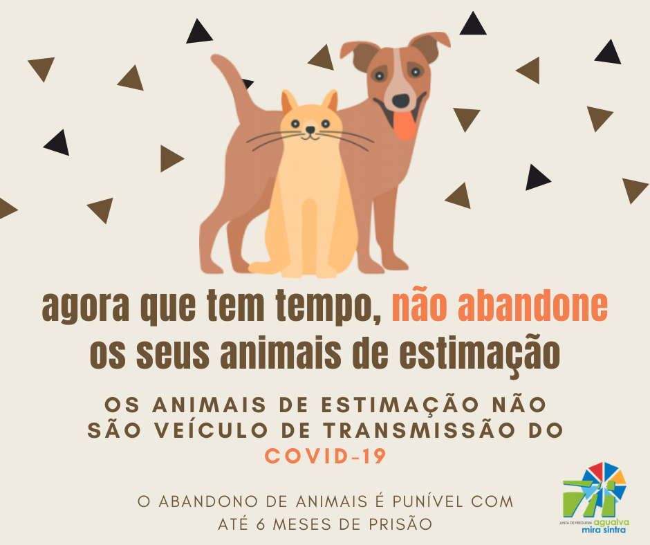 Não abandone os seus animais Não abandone os seus animais