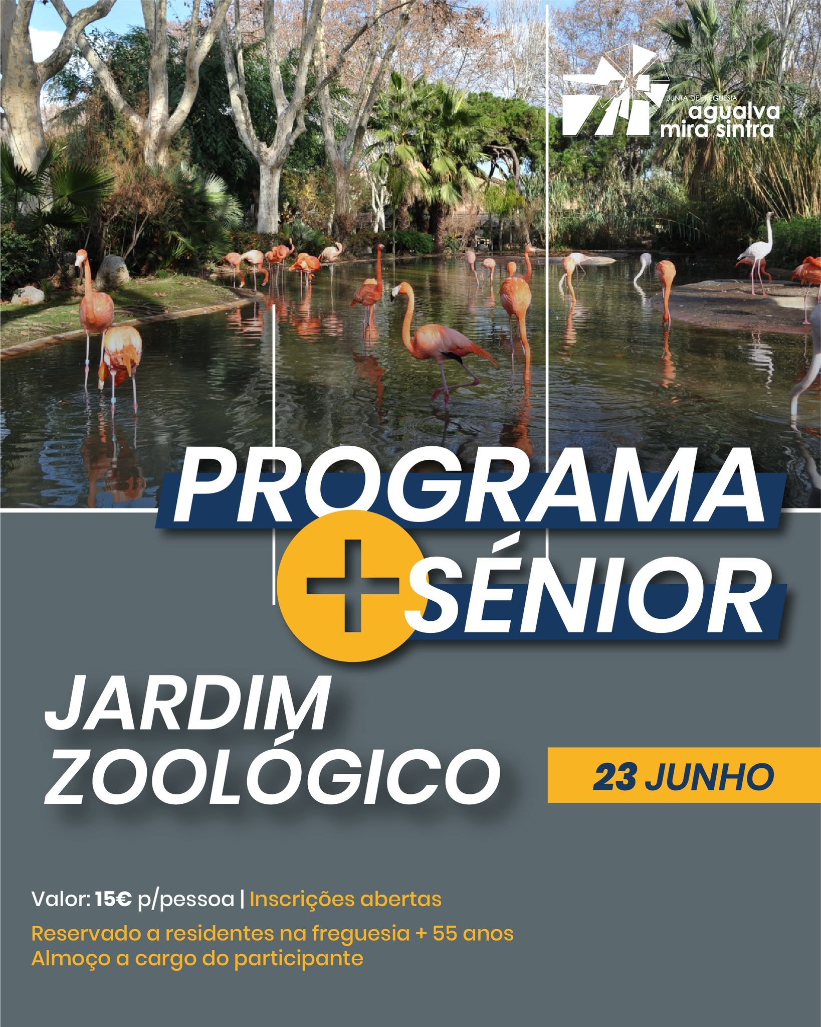 Programa + Sénior | Jardim Zoológico de Lisboa Programa + Sénior | Jardim Zoológico de Lisboa